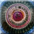 G01 